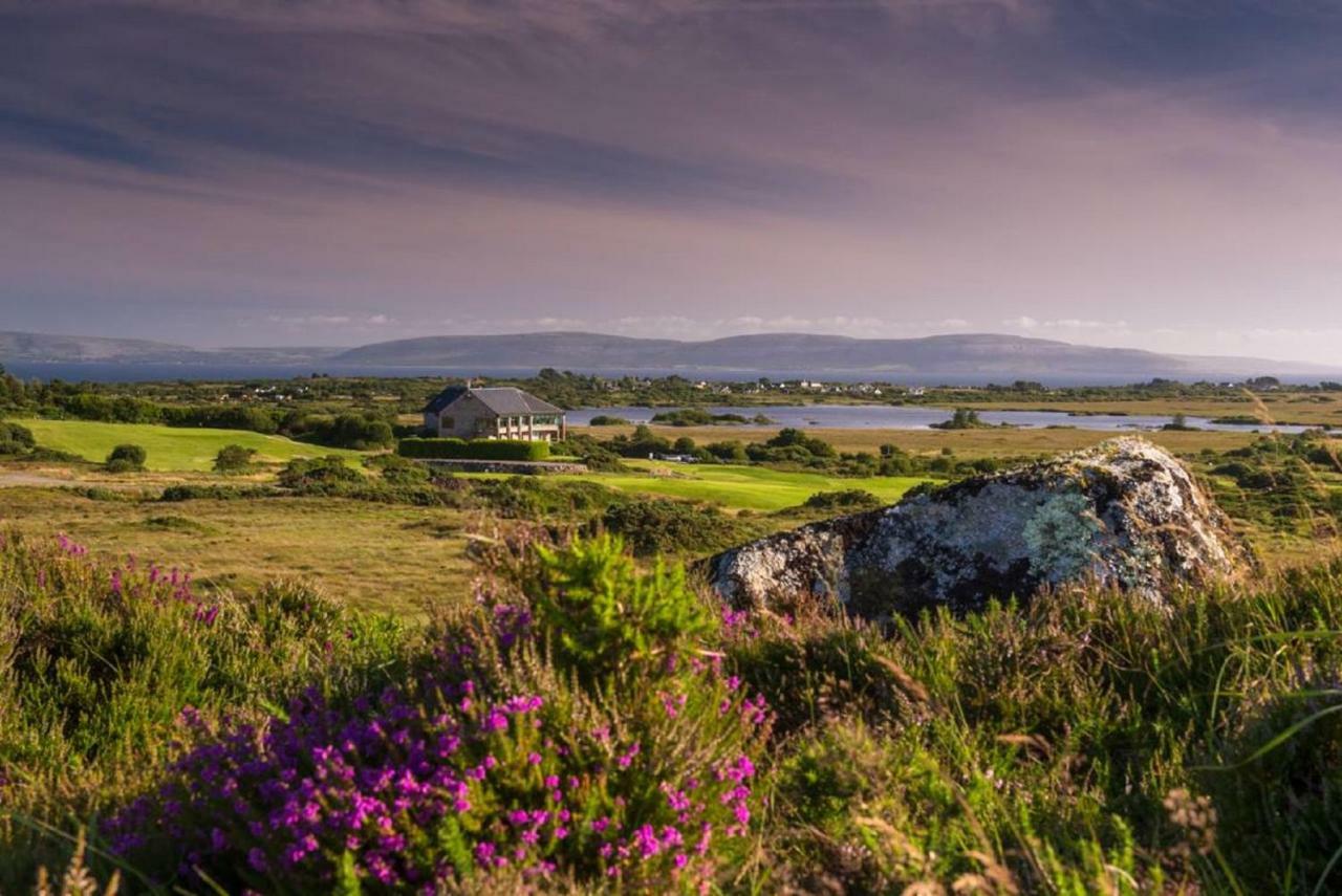 Frank'S Villa Galway Bagian luar foto